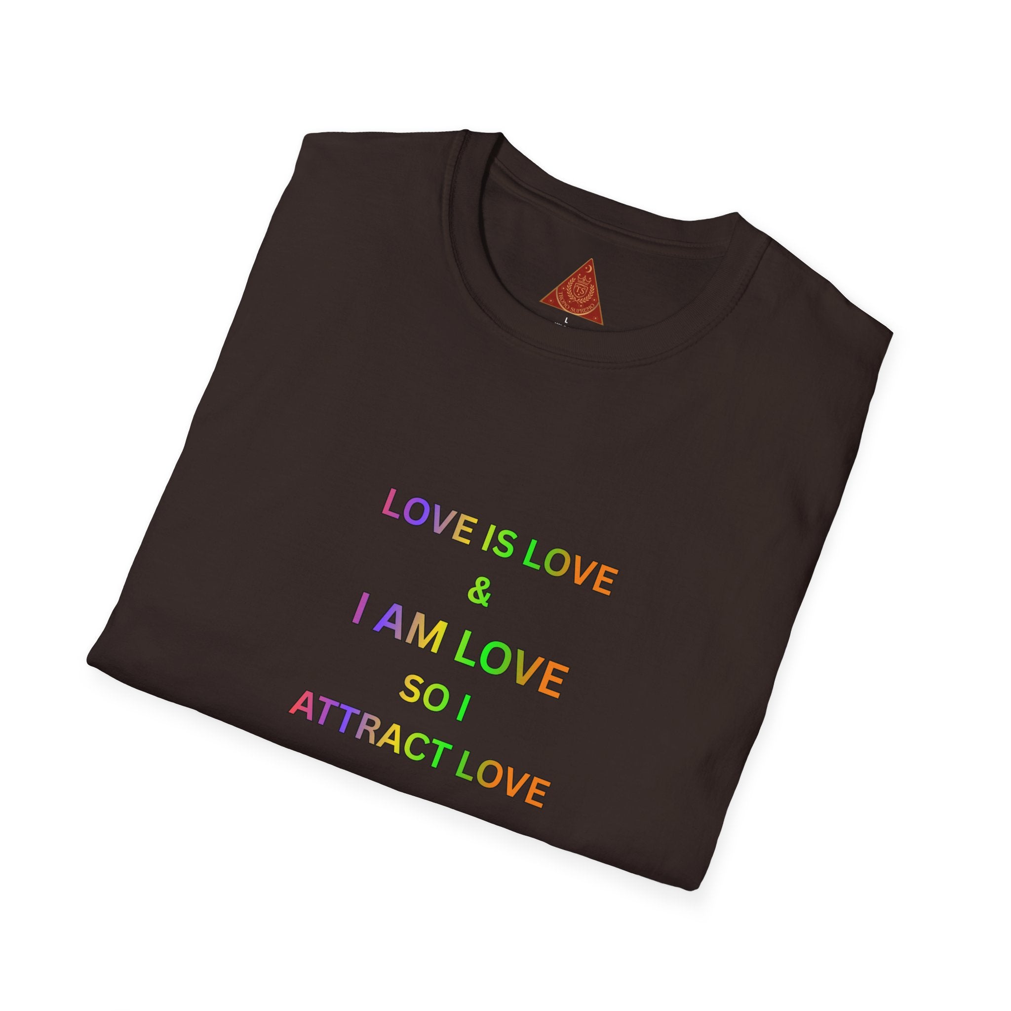 Trono Supremo | Contemporary  |   "Love Is Love" -- Universal Kindness and Acceptance T shirt