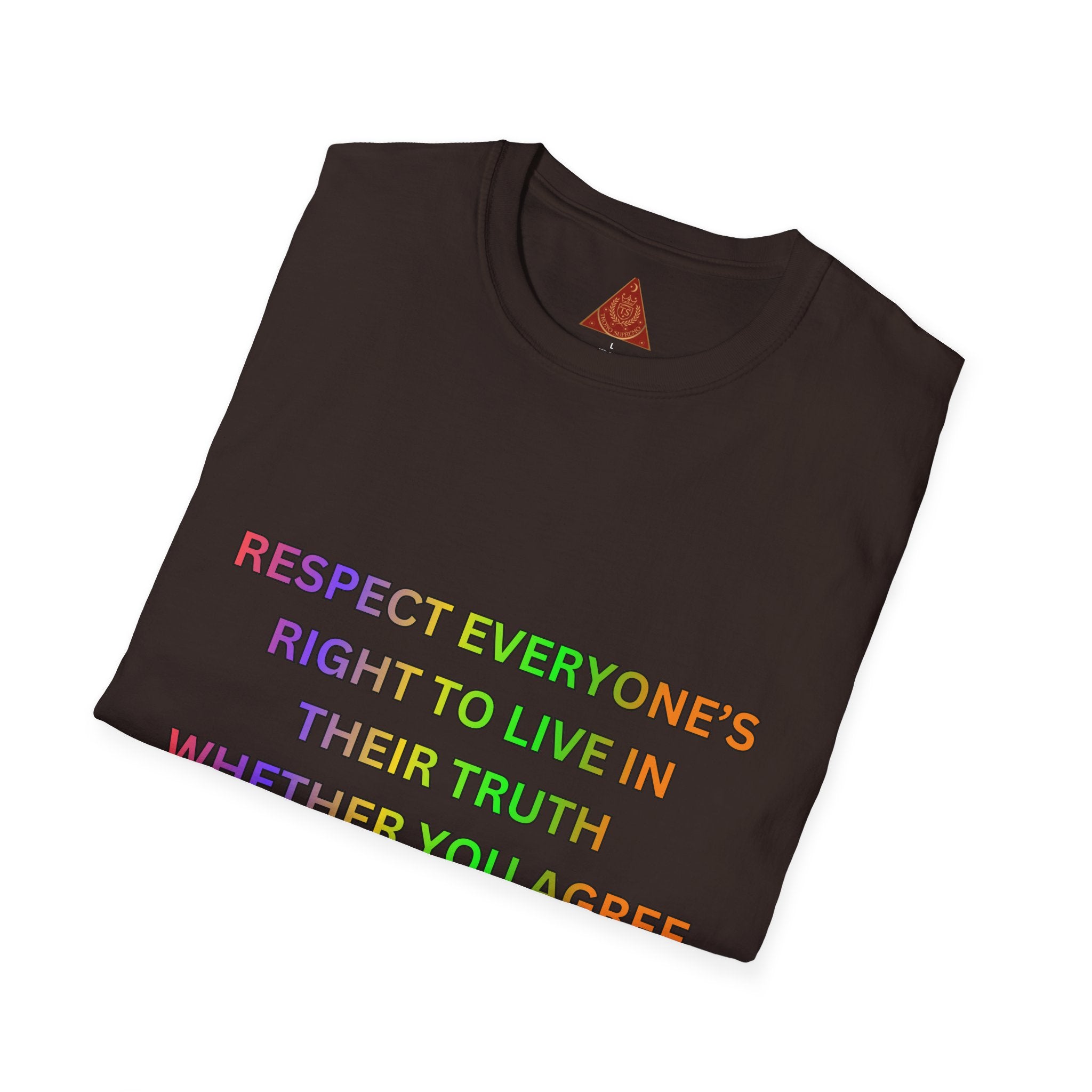 Trono Supremo  |  Contemporary  |  Respect Everyone's Right T-Shirt — Rainbow Equality Statement Tee