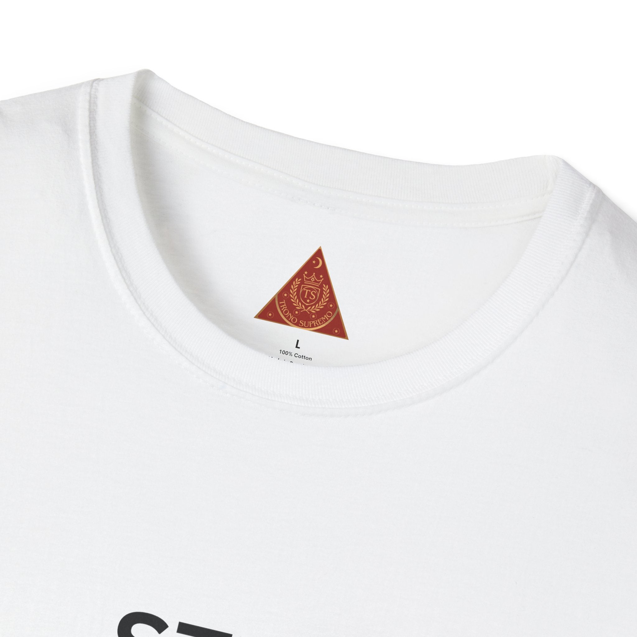 Trono Supremo  |  Contemporary  |  T-Shirt — "Stay Attractive Inside and Out" Minimalist Motivational Tee