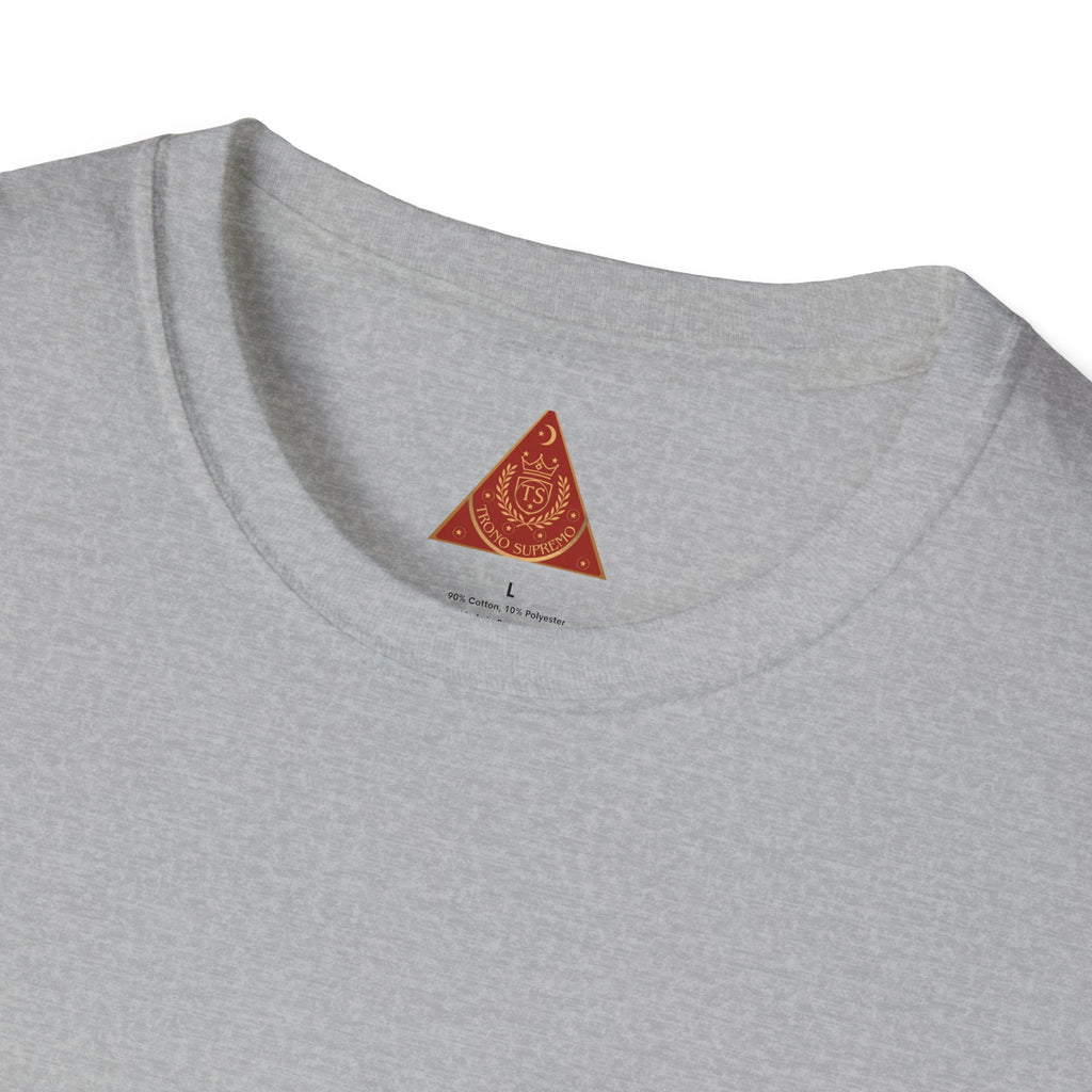 Trono Supremo  |  Contemporary  |  TSA Workers Thank You T-Shirt — Airport Security Appreciation Tee